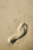 SandCam.com