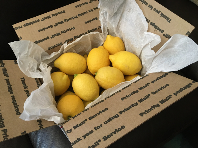 California Lemons -  (approx. 18 - domestic US shipping included)
