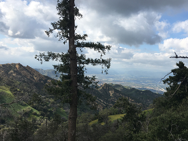 OatMountain.com
